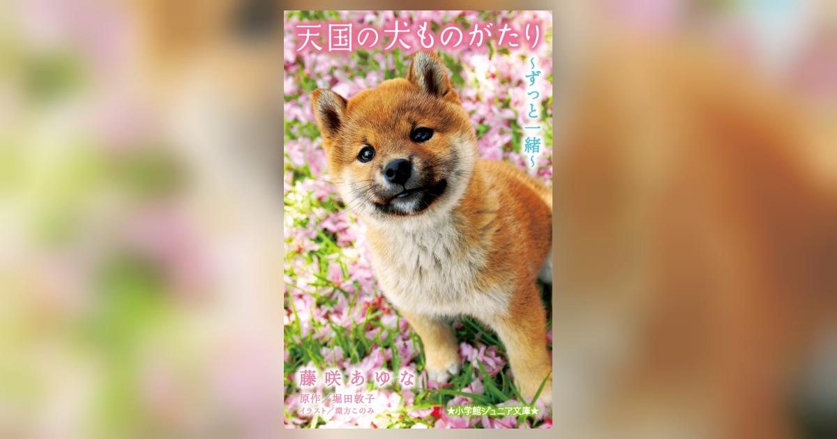 天国の犬ものがたり～ずっと一緒～ | 藤咲あゆな 堀田敦子 環方