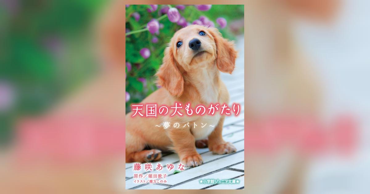 天国の犬ものがたり～夢のバトン～ | 藤咲あゆな 堀田敦子 環方このみ 