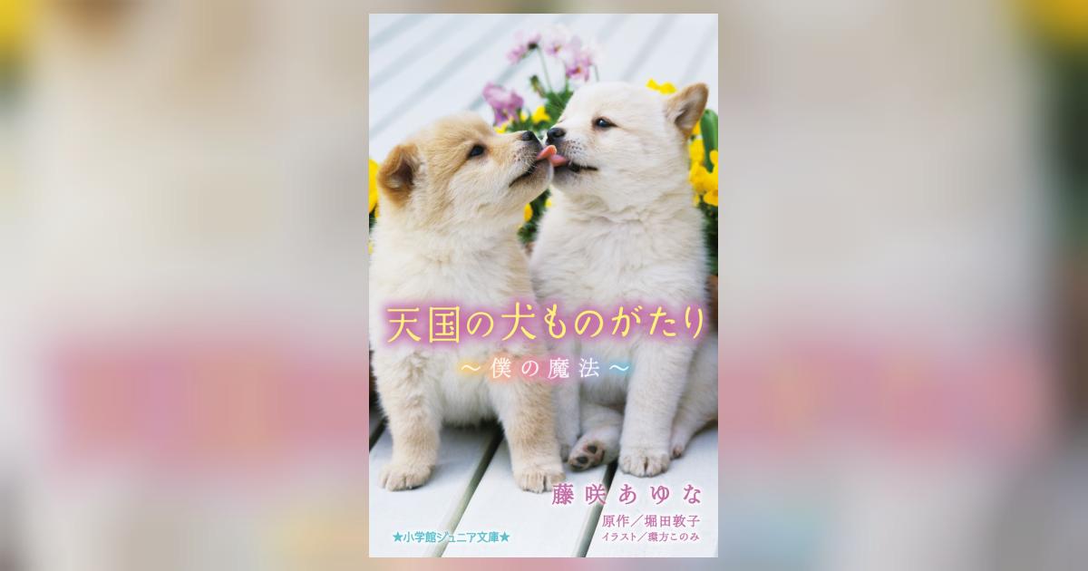 天国の犬ものがたり～僕の魔法～ | 藤咲あゆな 堀田敦子 | 【試し読み 