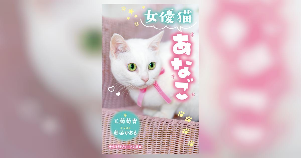 ZOOプロ 限定 あなごちゃん お別れ会 手形カード 猫侍 玉之丞 非売品