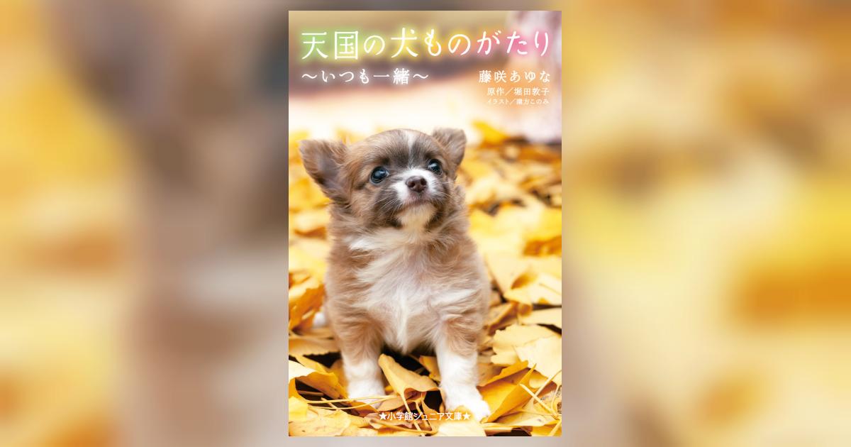 天国の犬ものがたり～いつも一緒～ | 藤咲あゆな 堀田敦子