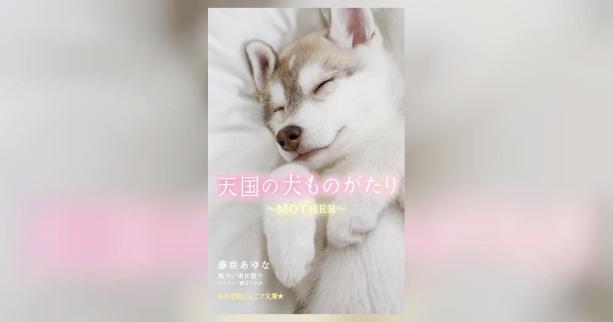 天国の犬ものがたり～MOTHER～ | 藤咲あゆな 堀田敦子 環方