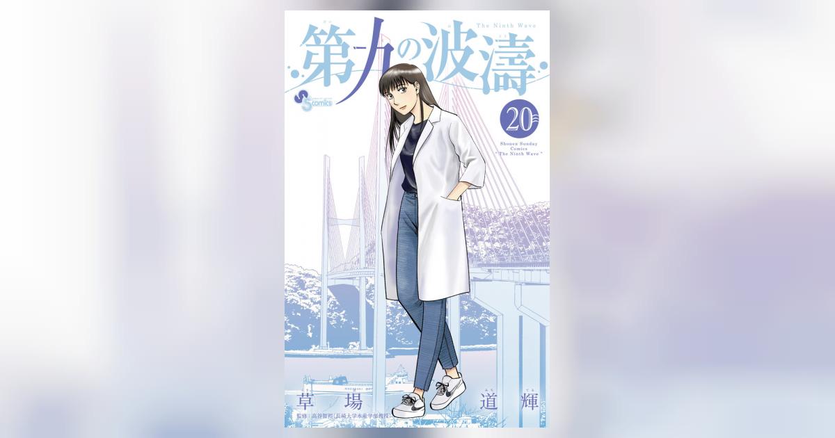 第九の波濤 20 | 草場道輝 高谷智裕 | 【試し読みあり