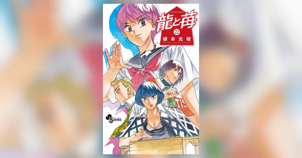 龍と苺 22巻セット