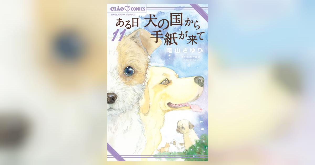 ある日 犬の国から手紙が来て ほか関連全巻31冊セット本 Amazon.co.jp