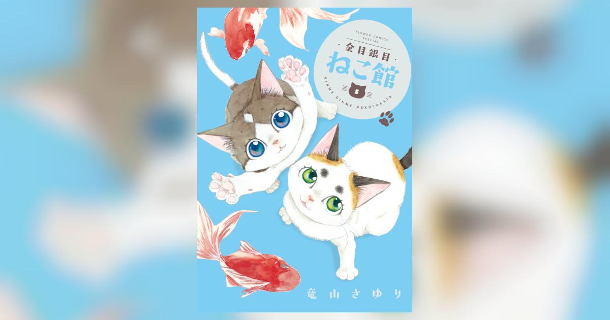 【中古】 月刊ねこだのみ １２/小学館 中古】 月刊ねこだのみ 12/小学館 Amazon.co.jp: 野良ネコ写真
