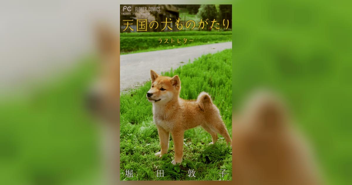 天国の犬ものがたり～ラストレター～ | 堀田敦子 – 小学館コミック