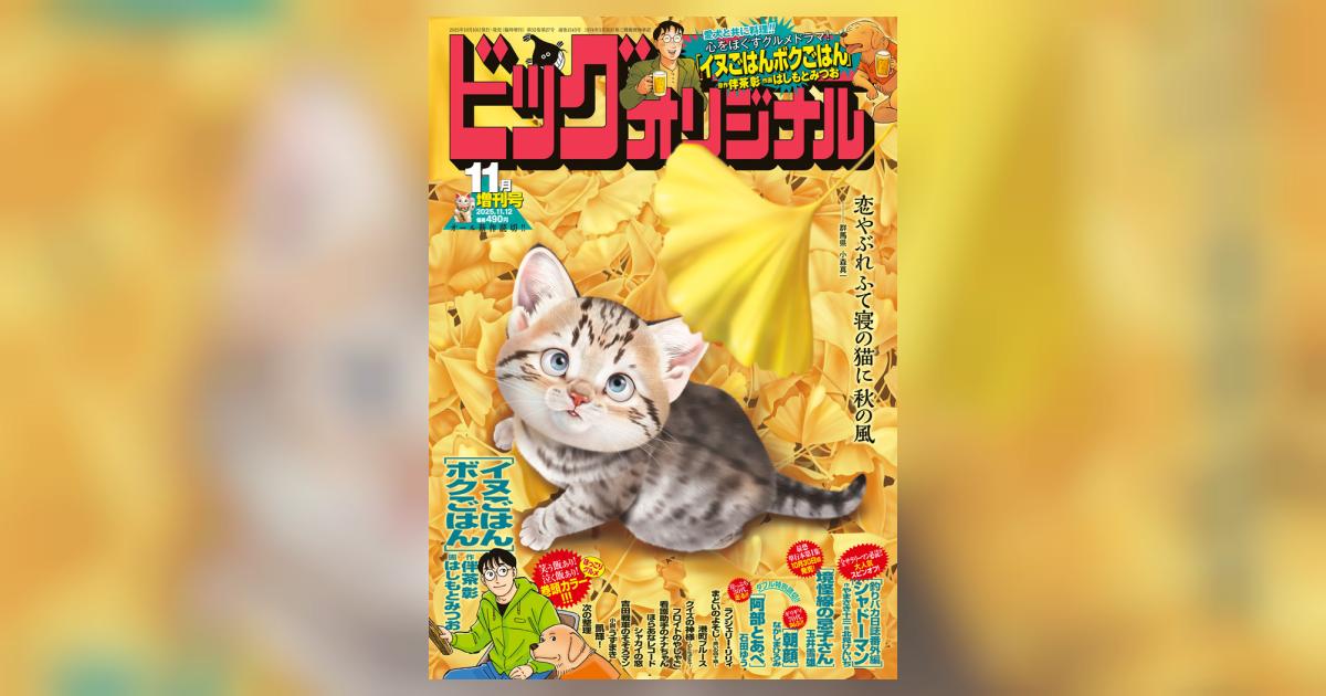 ビッグ オリジナル 11月増刊号 | 雑誌情報 | 【試し読みあり