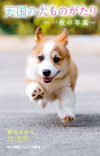 天国の犬ものがたり　～一枚の写真～