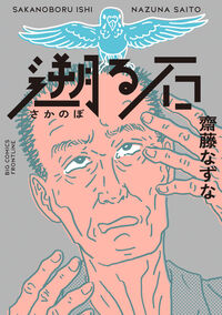 遡る石 