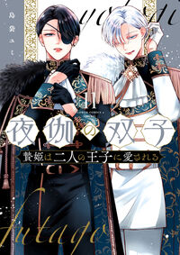 夜伽の双子－贄姫は二人の王子に愛される－　１１