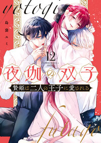 夜伽の双子－贄姫は二人の王子に愛される－　１２