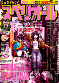 ビッグスペリオール