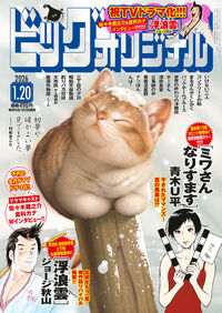 ビッグオリジナル