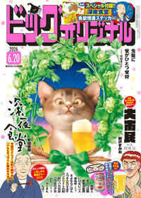 ビッグオリジナル