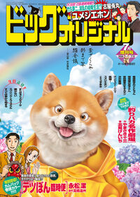 ビッグオリジナル増刊