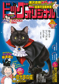ビッグオリジナル増刊