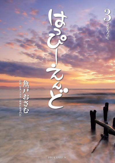 はっぴーえんど 3