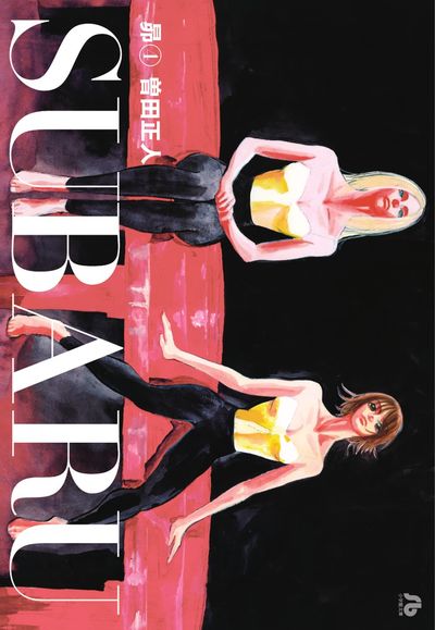 SUBARU昴 4