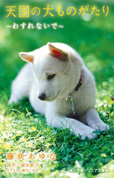 天国の犬ものがたり