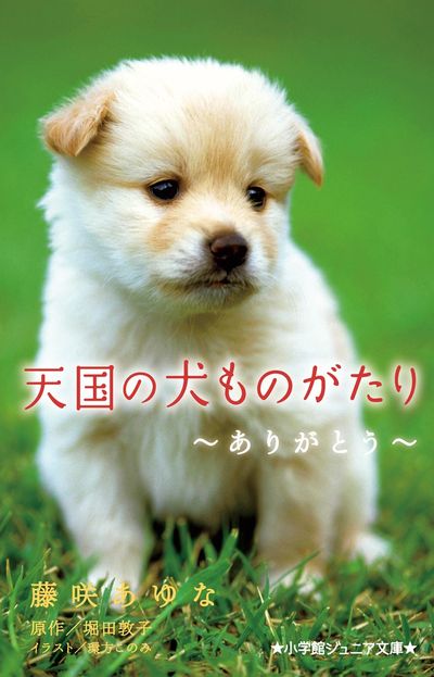 天国の犬ものがたり～ありがとう～ | 藤咲あゆな 堀田敦子 環方このみ