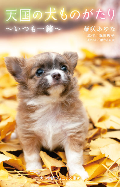 天国の犬ものがたり~いつも一緒~