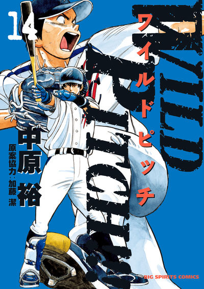 WILD PITCH!!! 14