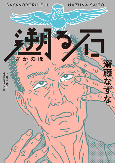 遡る石 