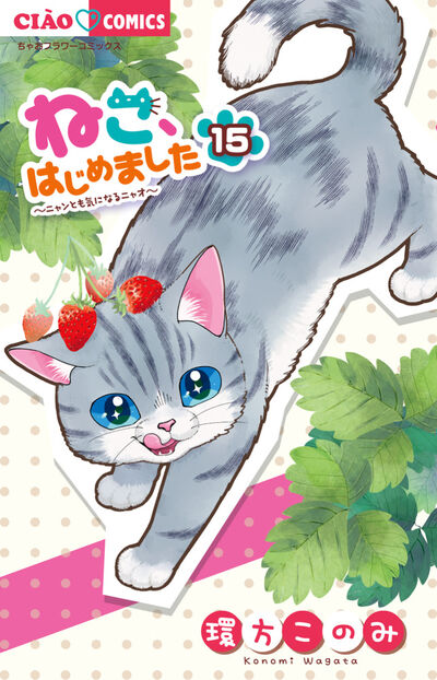ねこ、はじめました １５