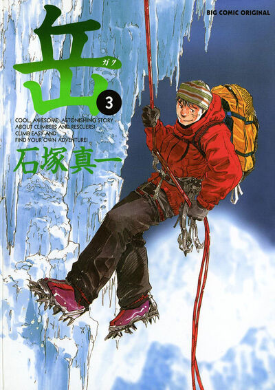 通販 激安 3 岳 | 小学館コミック – 石塚真一 青年漫画