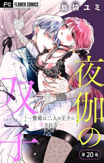 夜伽の双子―贄姫は二人の王子に愛される―【マイクロ】　20
