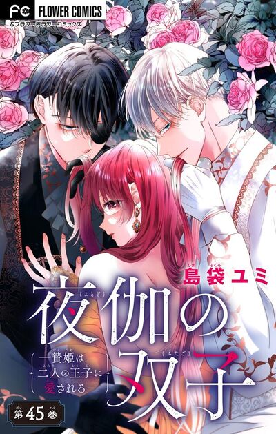 夜伽の双子―贄姫は二人の王子に愛される―【マイクロ】　45