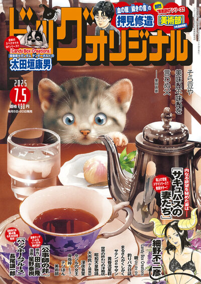 黄昏流星群 懸賞品 非売品 ビッグコミックオリジナル ピンズ