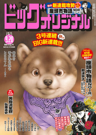 ピコピコ大王　実写版　漫画版セット ピコピコ大王 実写版 漫画版セット ピコピコ大王 実写版 漫画版