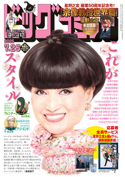 ビッグコミック　１４号