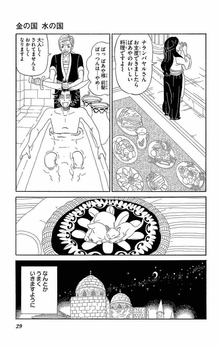 金の国 水の国 岩本ナオ 試し読みあり 小学館コミック