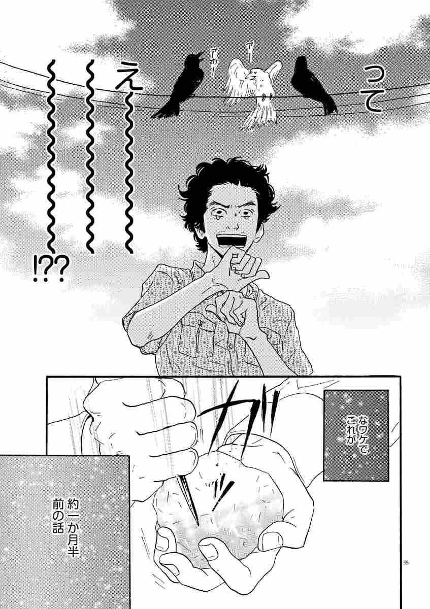 おやすみカラスまた来てね １ いくえみ 綾 試し読みあり 小学館コミック