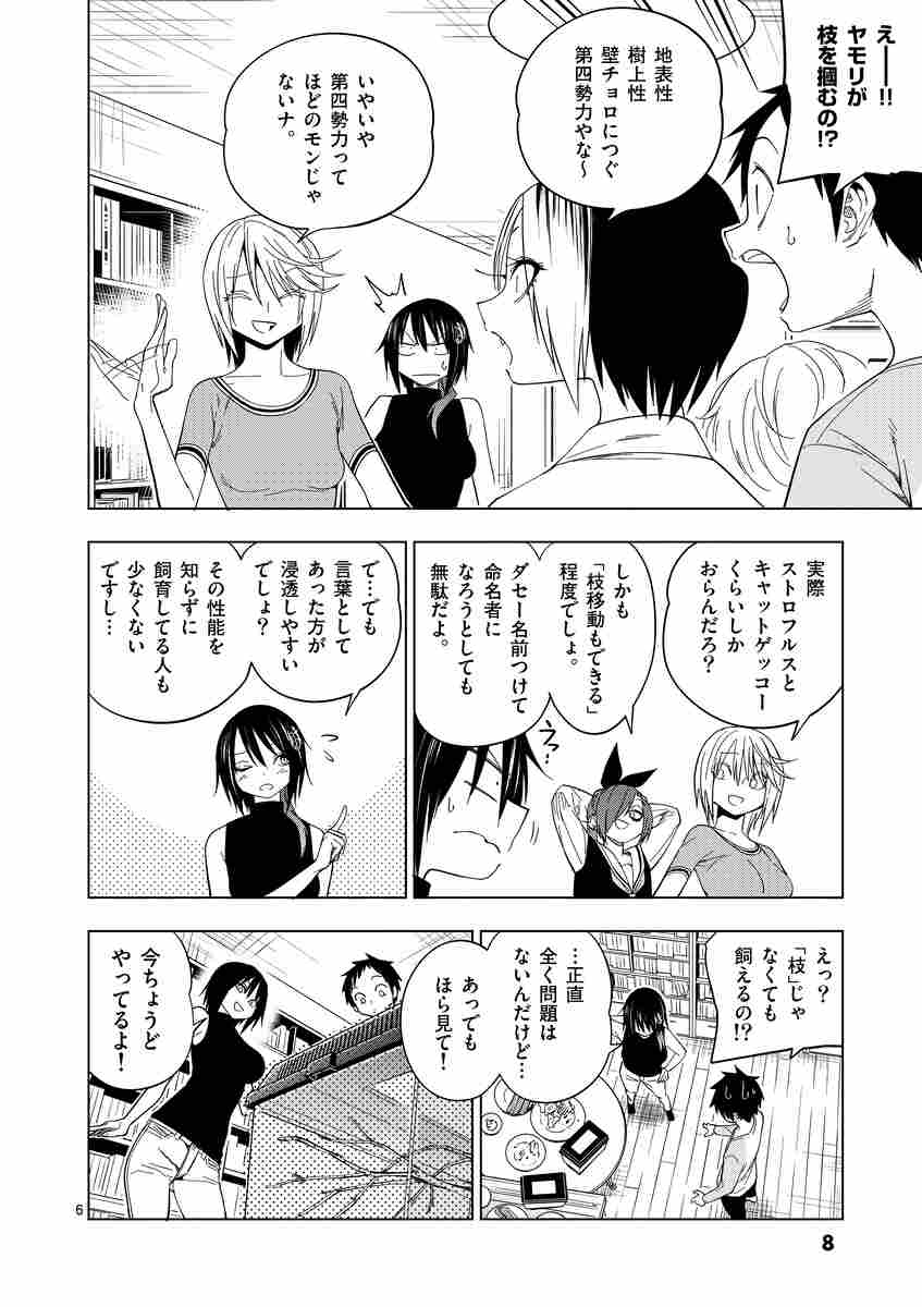 秘密のレプタイルズ １０ 鯨川リョウ 試し読みあり 小学館コミック