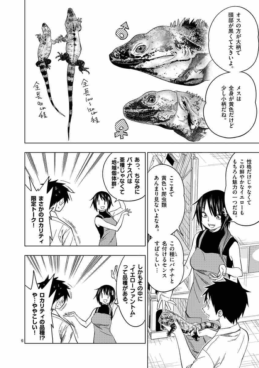 秘密のレプタイルズ １１ 鯨川リョウ 試し読みあり 小学館コミック