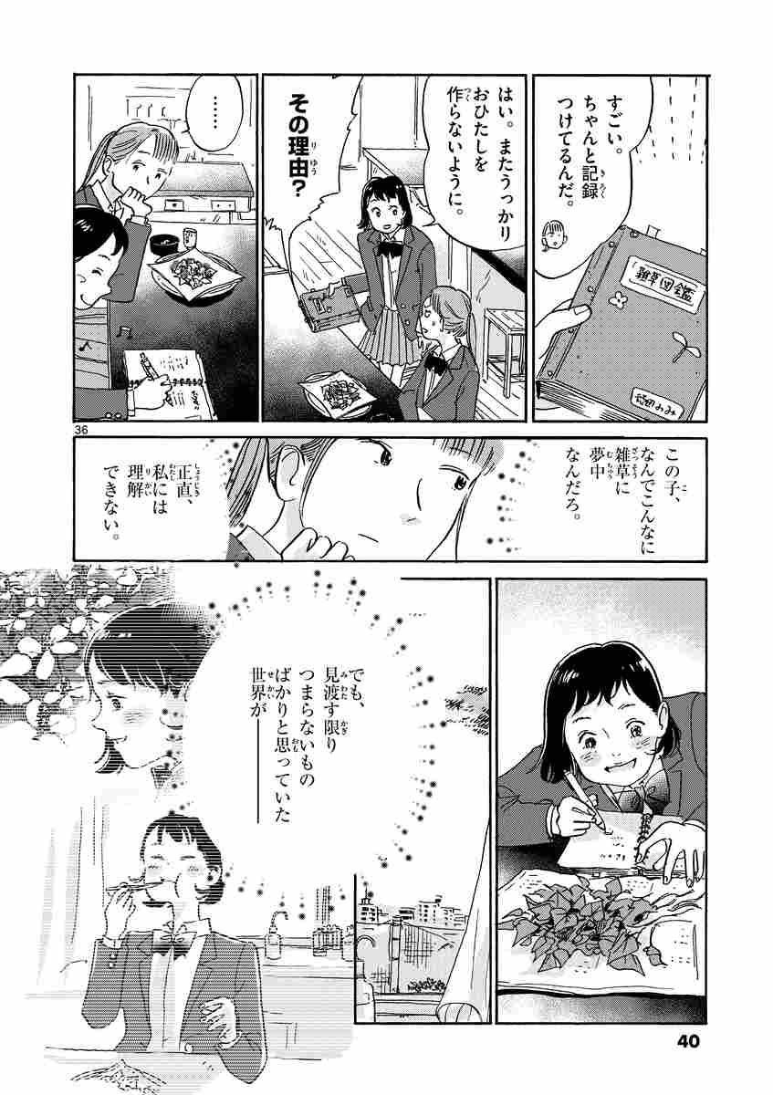 ザッケン １ 上村奈帆 プクプク 試し読みあり 小学館コミック