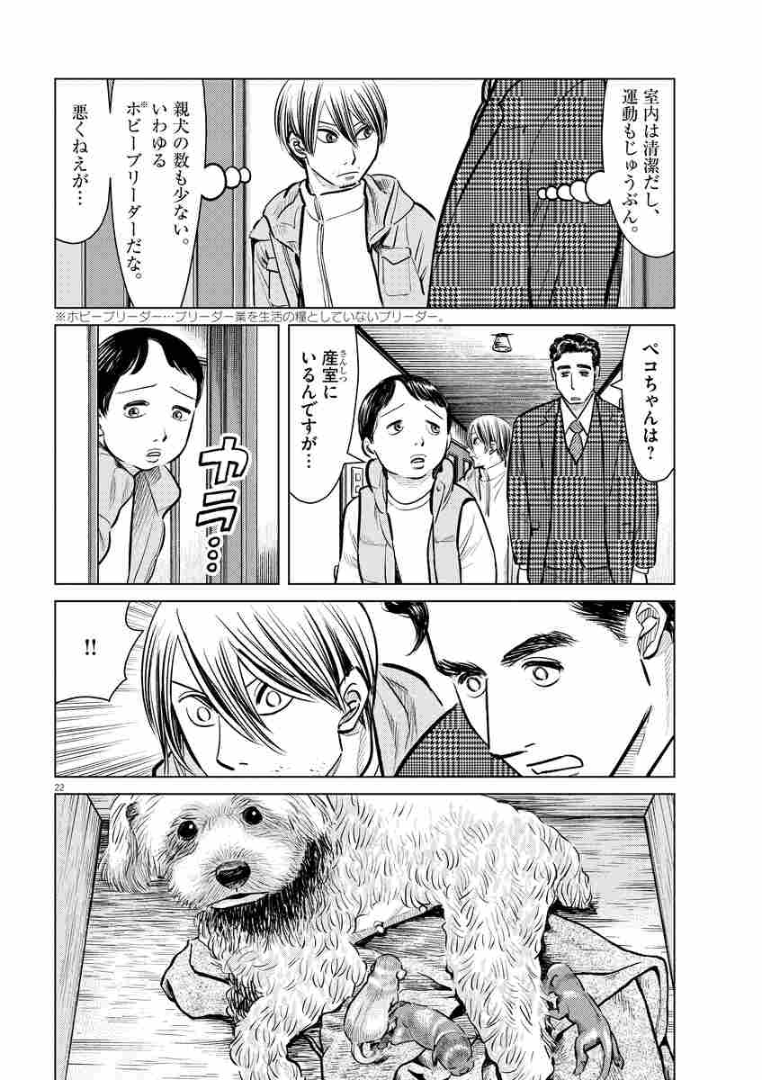 しっぽの声 ９ 夏 緑 ちくやまきよし 杉本 彩 試し読みあり 小学館コミック