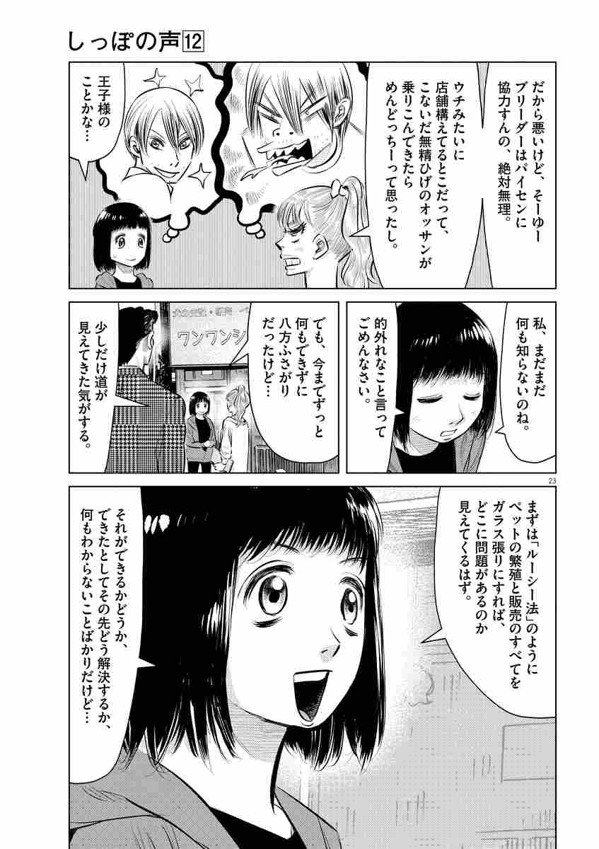 しっぽの声 １２ 夏 緑 ちくやまきよし 杉本 彩 試し読みあり 小学館コミック