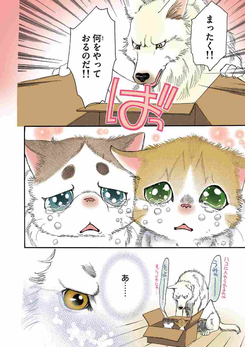 うちの犬が子ネコ拾いました 第１巻 竜山さゆり 試し読みあり 小学館コミック