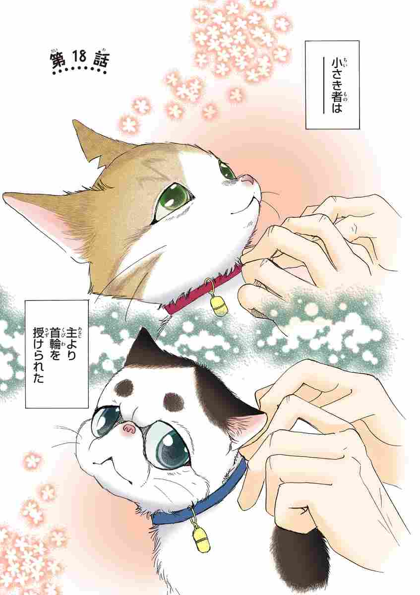 うちの犬が子ネコ拾いました 第２巻 竜山さゆり 試し読みあり 小学館コミック