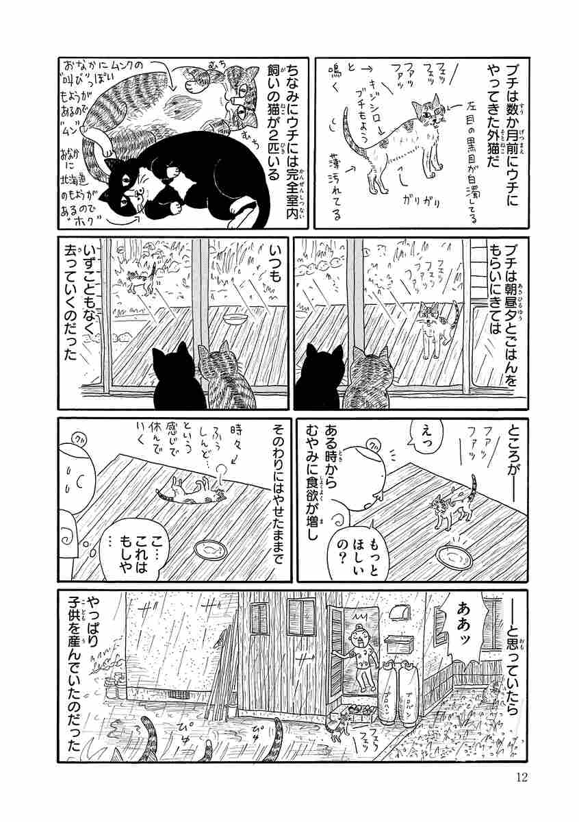 グレさんぽ 猫とかキモノとか京都とか グレゴリ青山 試し読みあり 小学館コミック