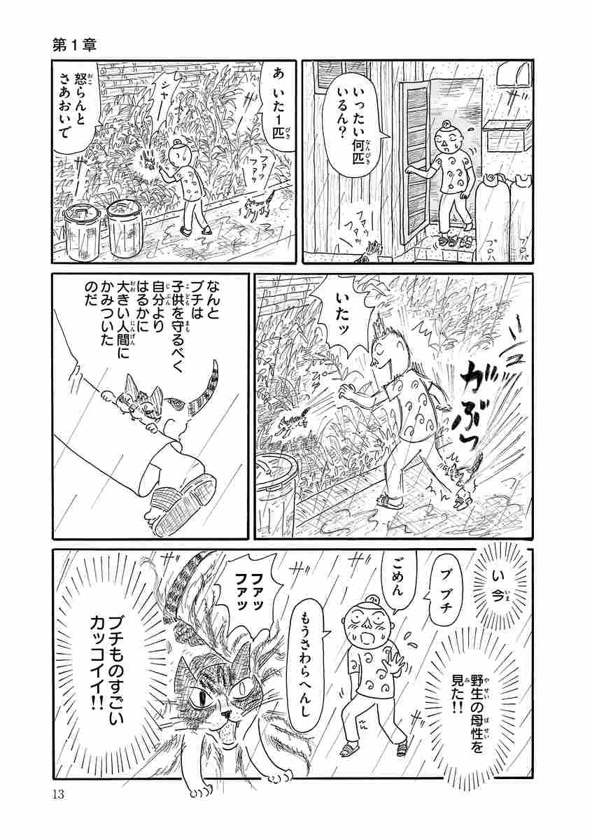 グレさんぽ 猫とかキモノとか京都とか グレゴリ青山 試し読みあり 小学館コミック