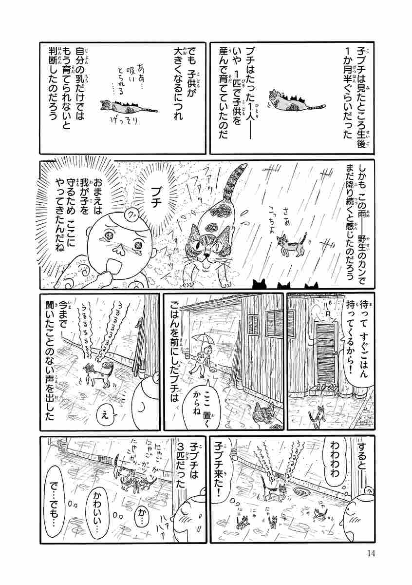 グレさんぽ 猫とかキモノとか京都とか グレゴリ青山 試し読みあり 小学館コミック