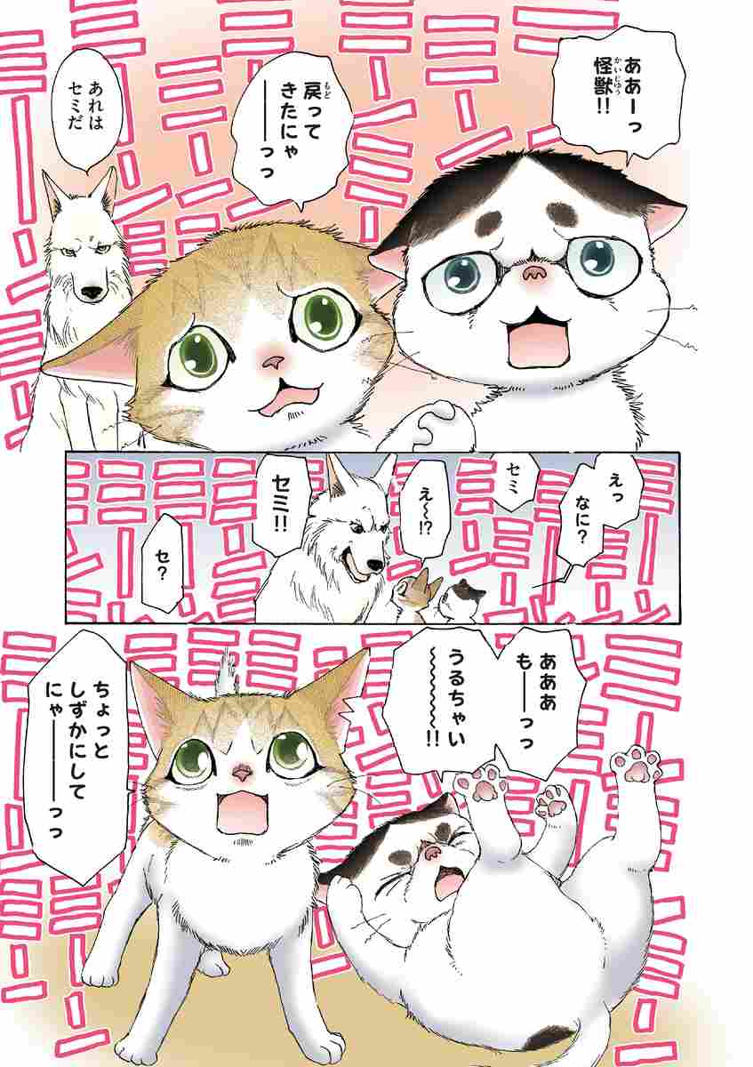 うちの犬が子ネコ拾いました 第３巻 竜山さゆり 試し読みあり 小学館コミック