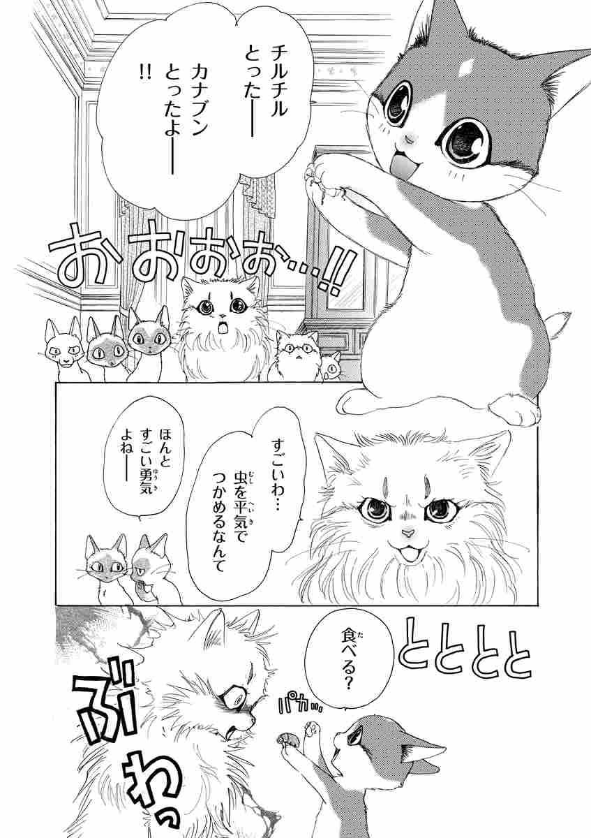 金目銀目ねこ館 １ 竜山さゆり 試し読みあり 小学館コミック