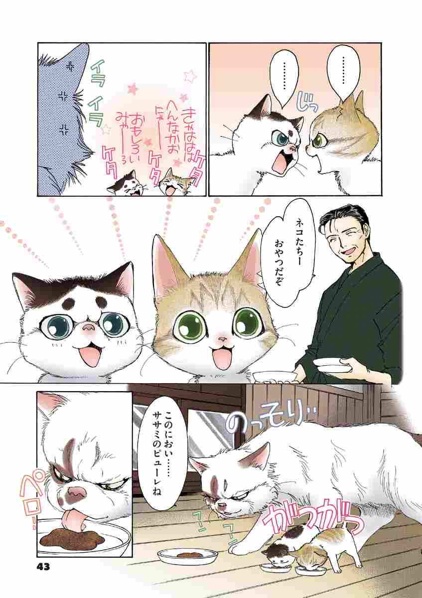 うちの犬が子ネコ拾いました 第４巻 竜山さゆり 試し読みあり 小学館コミック